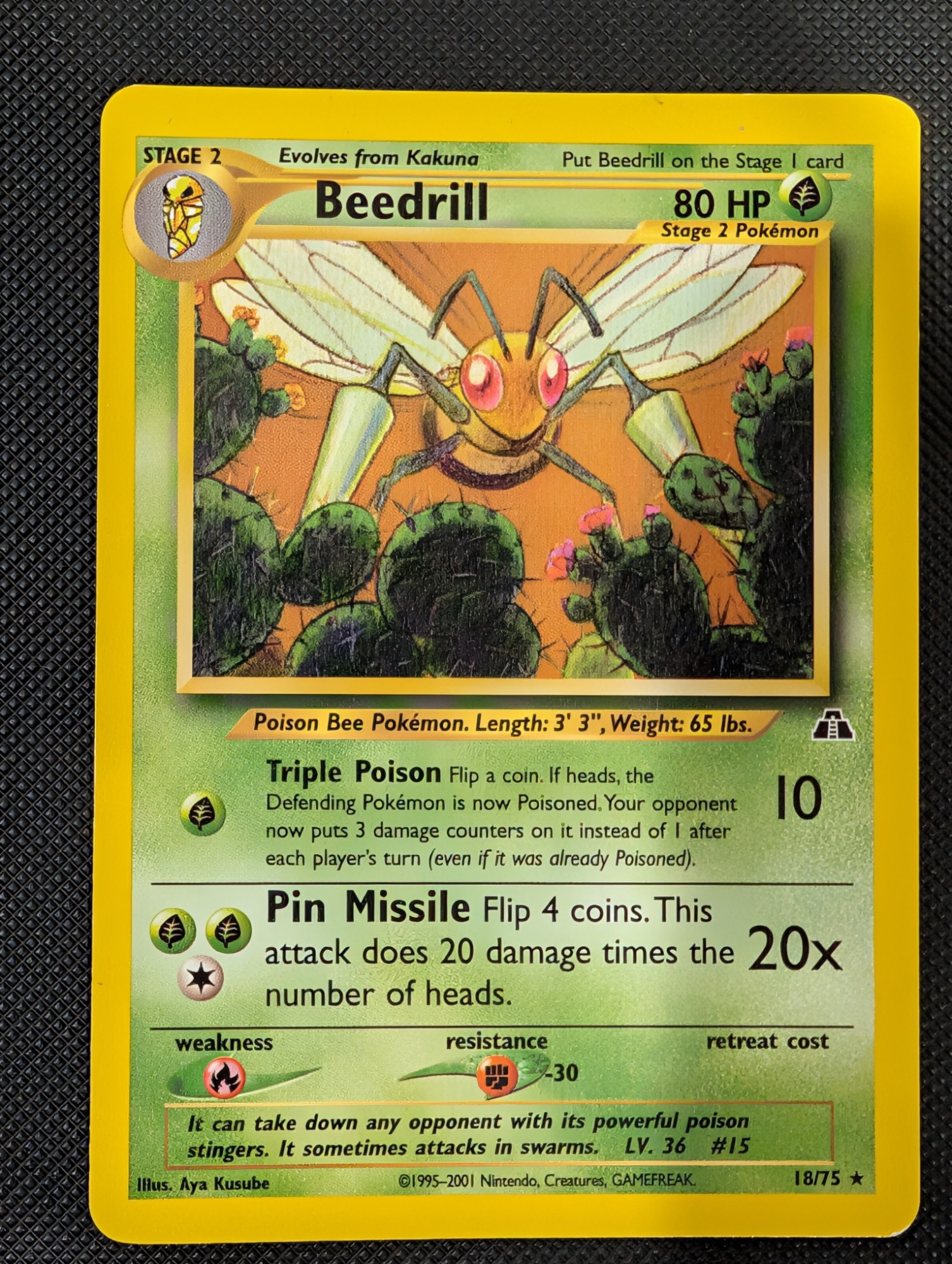 Front of Beedrill, 18/75
