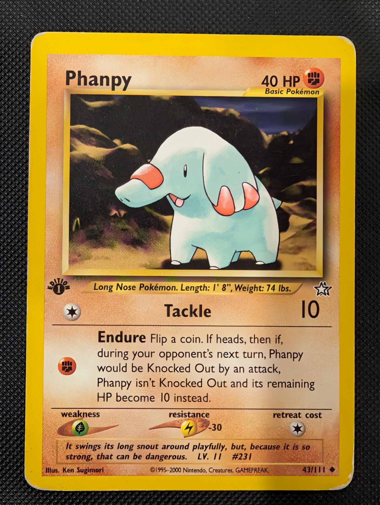 Phanpy, 43/111