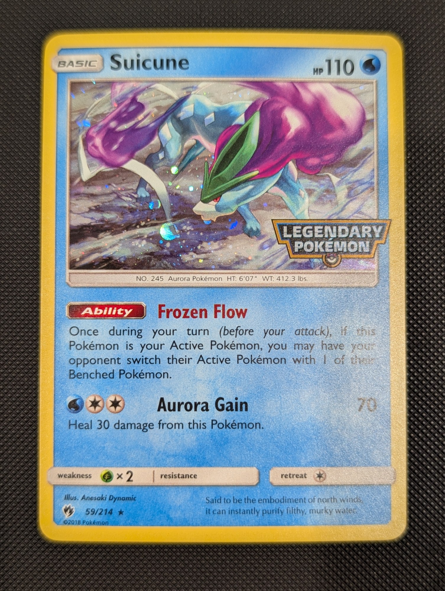 Front of Suicune, 59/214