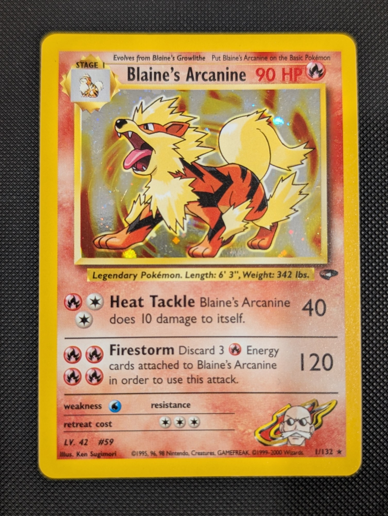Front of Blaine's Arcanine, 1/132