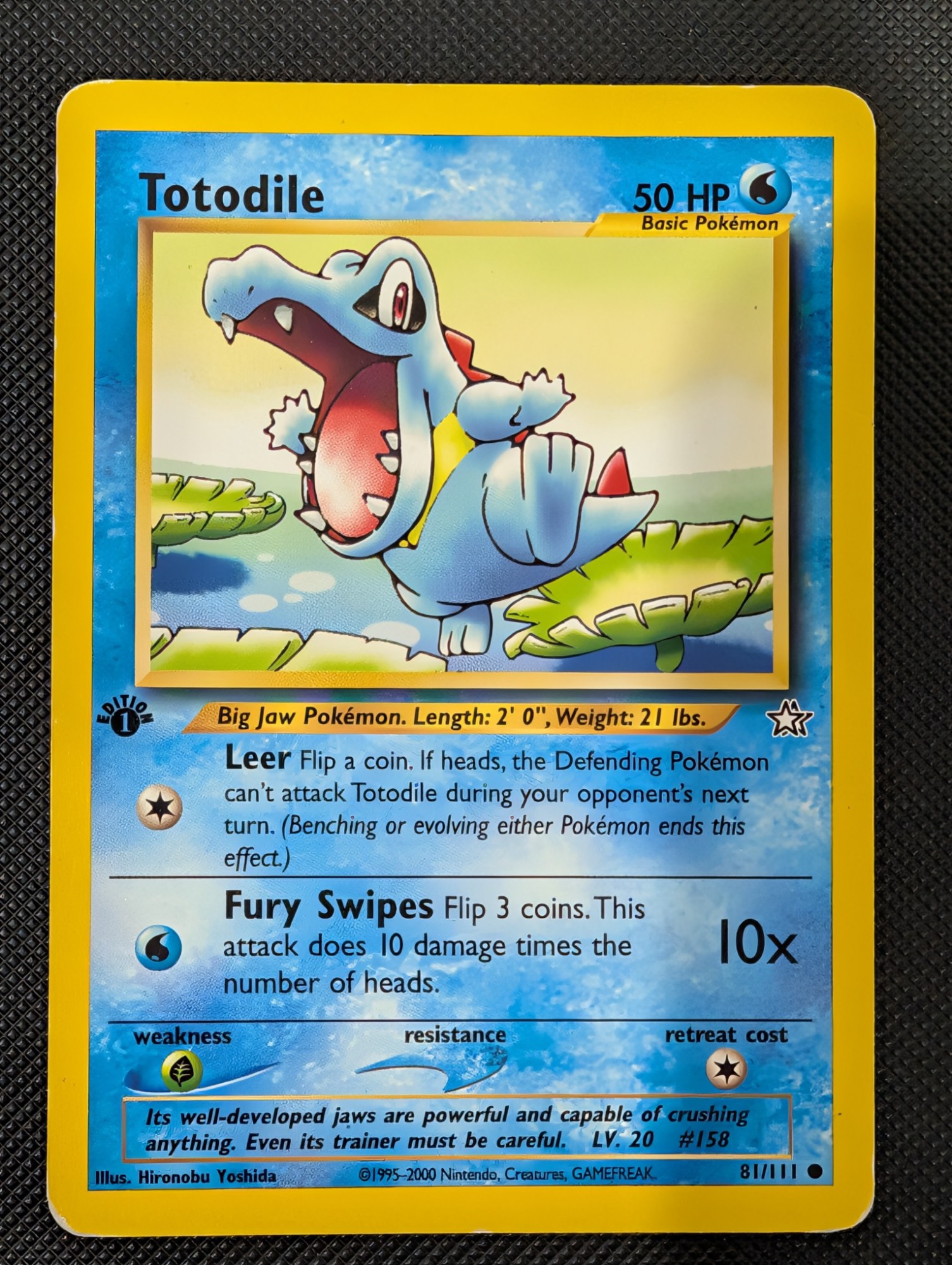 Front of Totodile, 81/111
