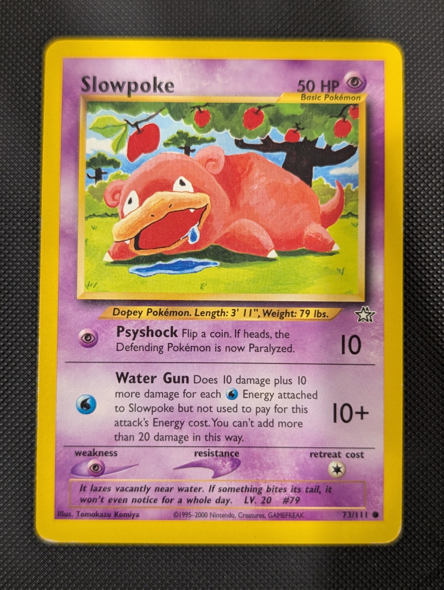 Front of Slowpoke, 73/111