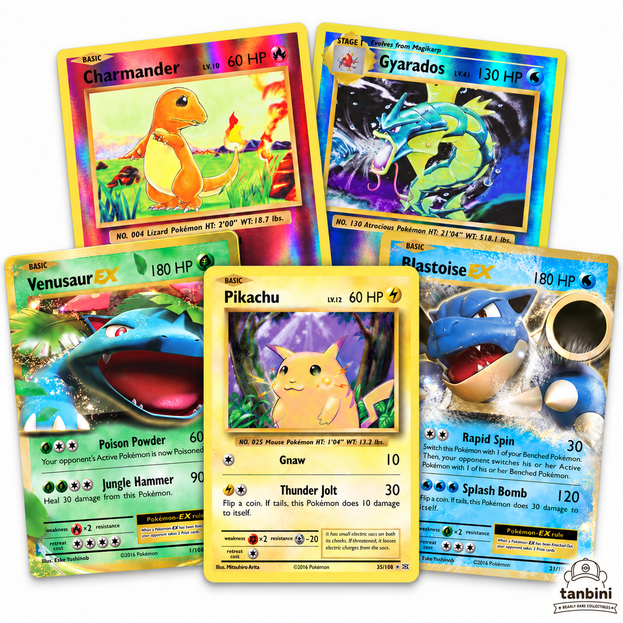 Front of XY Evolutions 2016 Singles - Non Holo Holo Reverse Holo - Choose, NUMBER NOT RECORDED