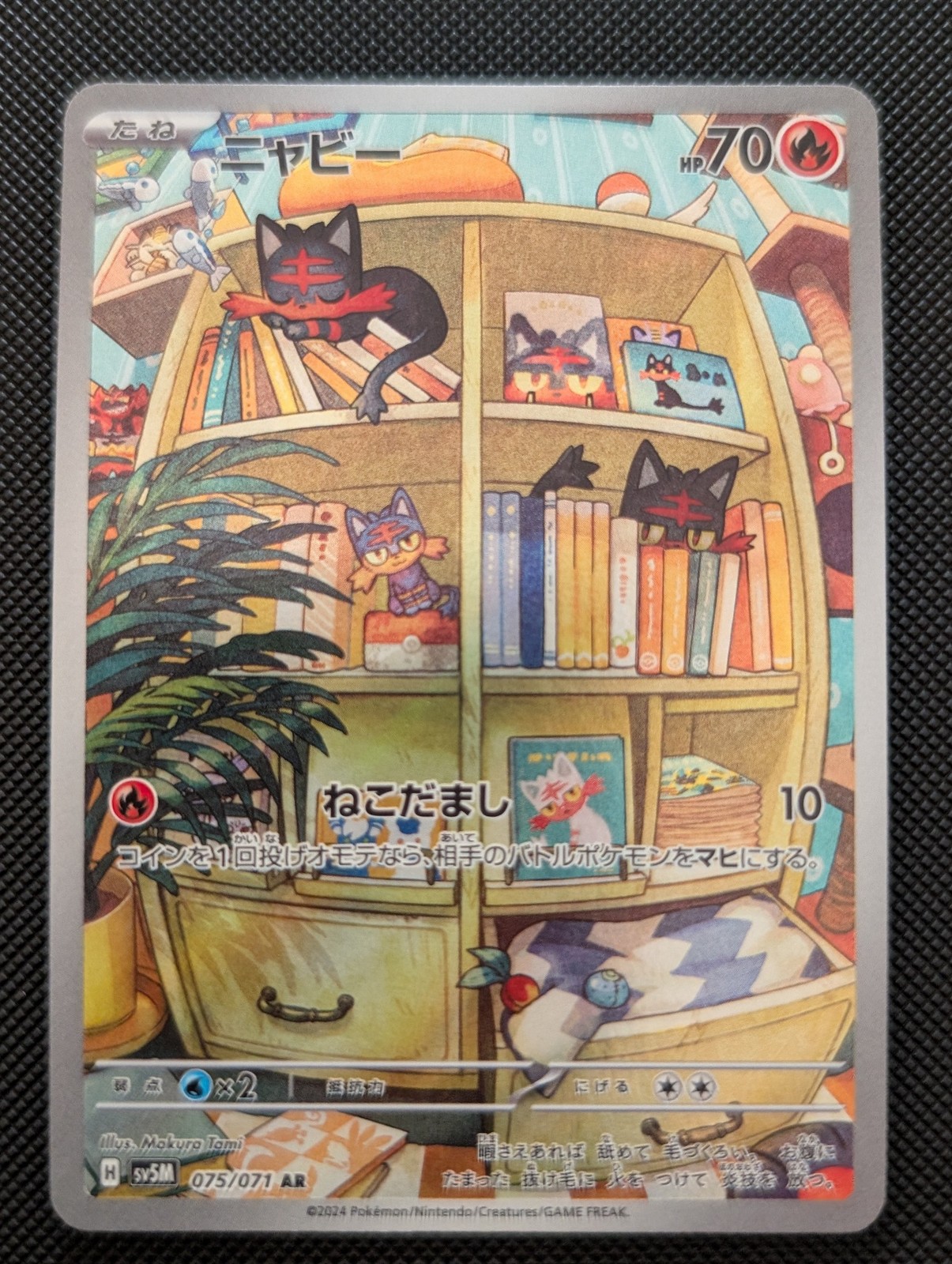 Front of Litten, 075/071